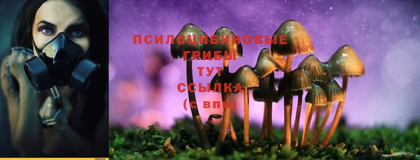 тгк Абаза