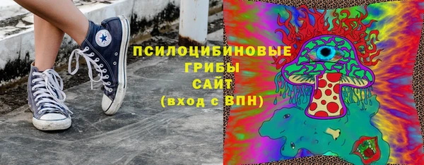 тгк Абаза
