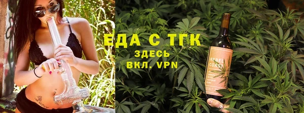тгк Абаза