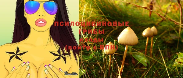 тгк Абаза