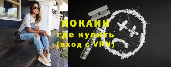 тгк Абаза